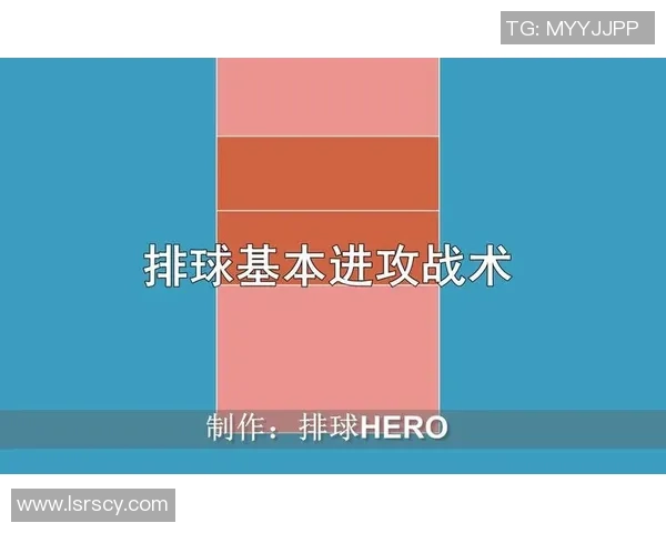 上海排球队进攻策略全解析深度剖析排球战术与团队协作