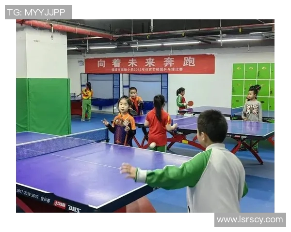 乒乓球的梦想与坚持：杭州乒乓球队成长历程的真实记录与感悟